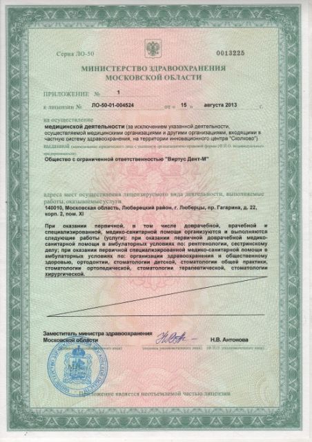 Приложение к лицензии на медицинскую деятельность